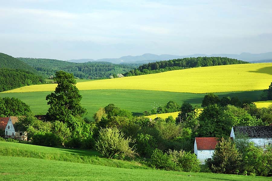 Letná príroda