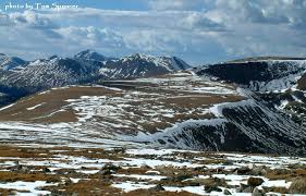 Tundra